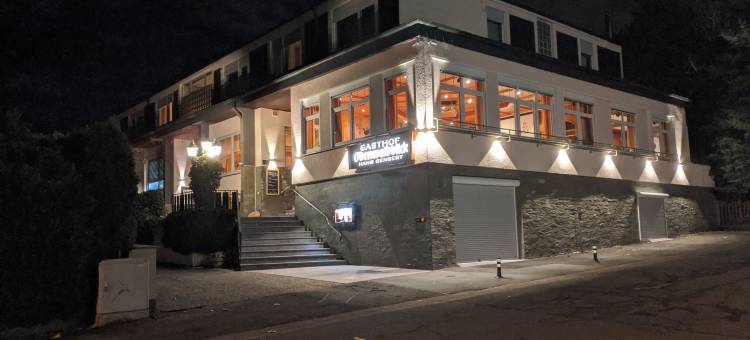 奥登瓦尔德布里克酒店(Hotel Odenwaldblick)图片