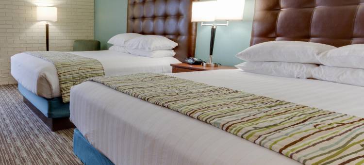 伯明翰-格兰德维尤德鲁里套房酒店(Drury Inn & Suites Birmingham Grandview)图片