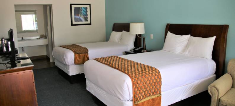 O Executive Inn & Suites 库埃罗87号公路酒店(Hotel O Executive Inn & Suites Cuero Hwy 87)图片