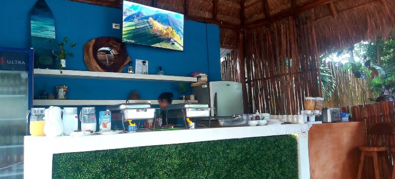 蓝色酒店 36(Azul 36 Hotel)图片