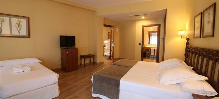 Ele Puente Romano酒店(Hotel Ele Puente Romano de Salamanca)图片