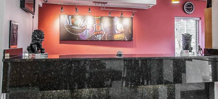 孟菲斯东部的伊克诺套房旅馆(Econo Lodge Inn & Suites Memphis East)图片