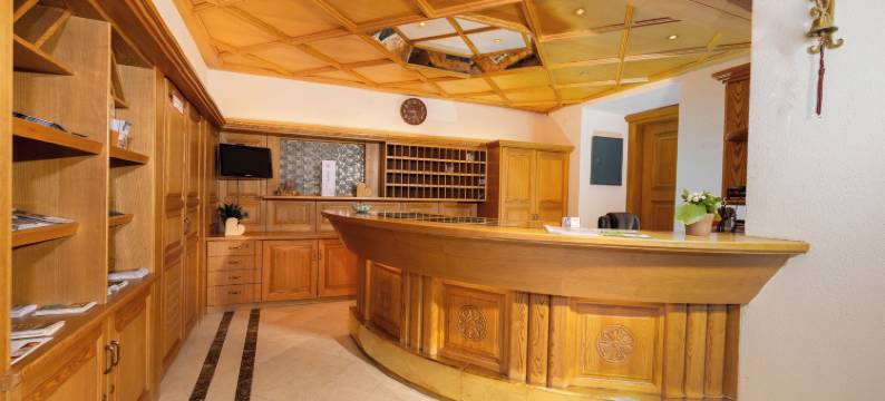 施瓦泽阿德勒酒店(Hotel Schwarzer Adler)图片