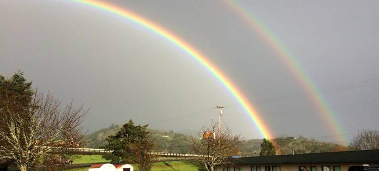 快速停车汽车旅馆和市场(Quick Stop Motel)图片