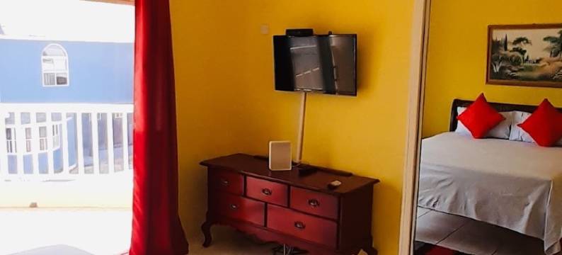 春季棕榈庄园(Spring Palm Estate)图片