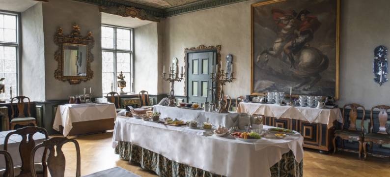 维斯塔纳斯洛特酒店(Västanå Slott)图片