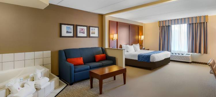 曼纳萨斯战场公园舒适套房酒店(Comfort Suites Manassas Battlefield Park)图片