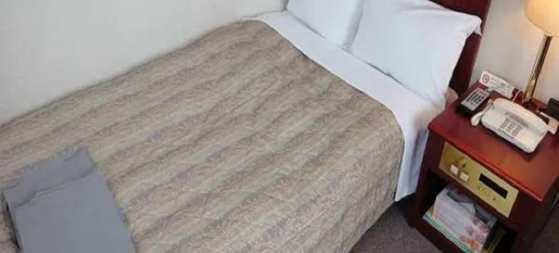 利夫马克斯酒店-多贺城店(HOTEL LiVEMAX Tagajo)图片