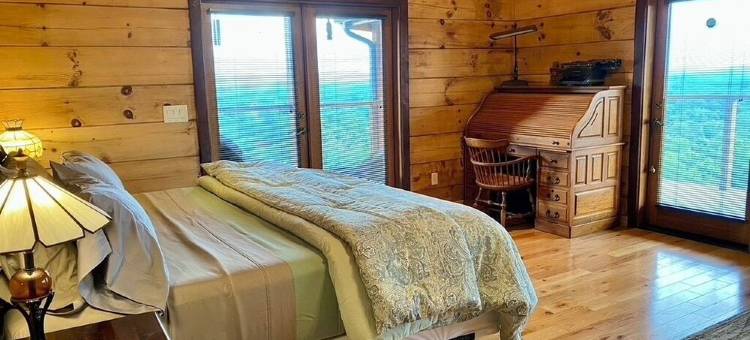 The Den at Bear Roots Tree Farm - 4-bedroom cabin with AC, WiFi in Mars Hill图片