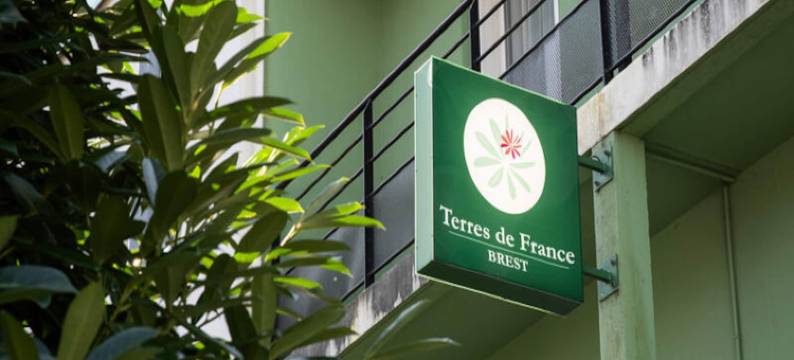 2 Room Apartment 4 People图片