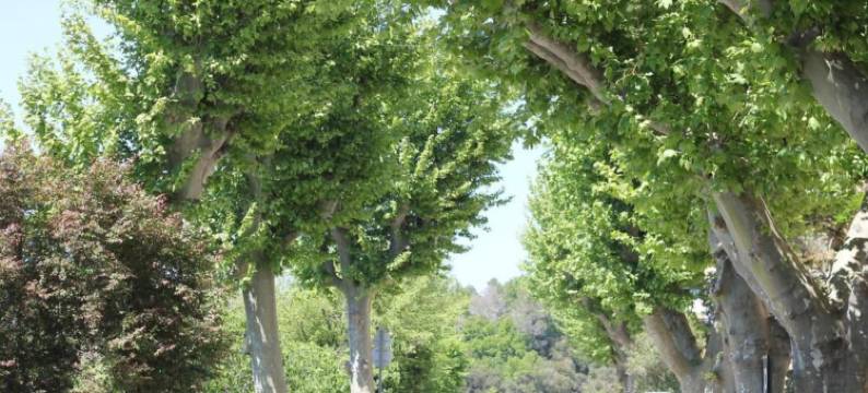 Holiday Home in Provence with Private Pool图片