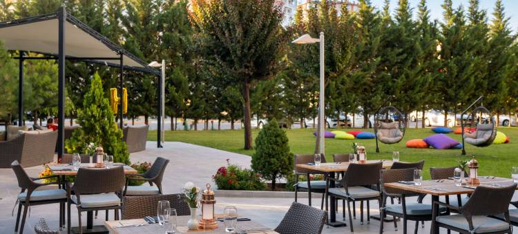 开塞利诺富特酒店(Novotel Kayseri)图片