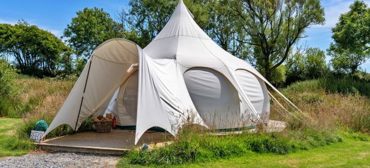 Bell Tent in Devon near Stunning Beaches图片
