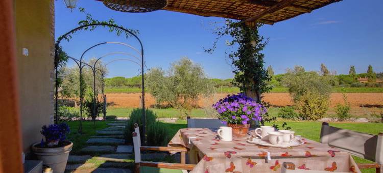 Villa in Cortona with Private Pool and Views图片
