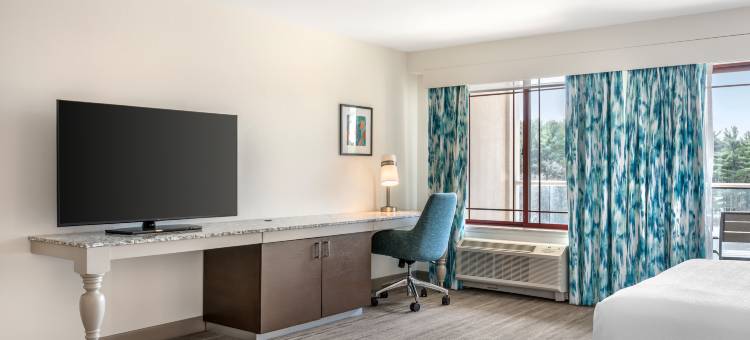 威斯康辛戴尔斯希尔顿花园酒店(Hilton Garden Inn Wisconsin Dells)图片