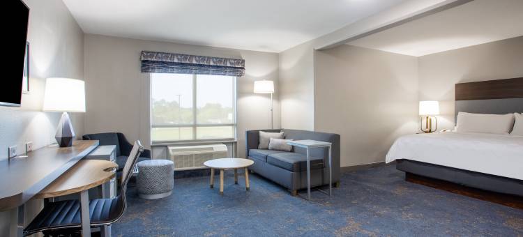 Holiday Inn 弗多斯塔会议中心(Holiday Inn VALDOSTA CONFERENCE CENTER by IHG)图片