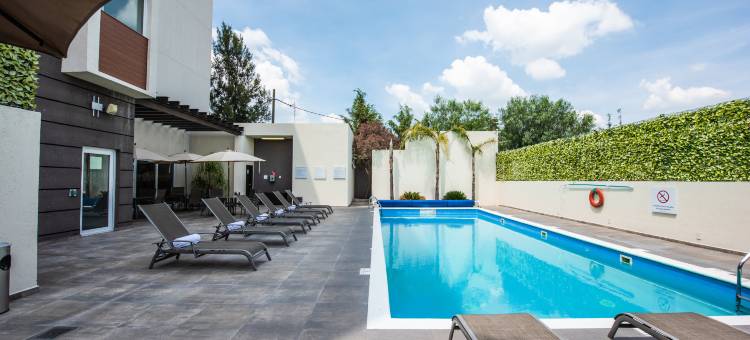 智选假日套房酒店-塞拉亚(Holiday Inn Express & Suites Celaya)图片