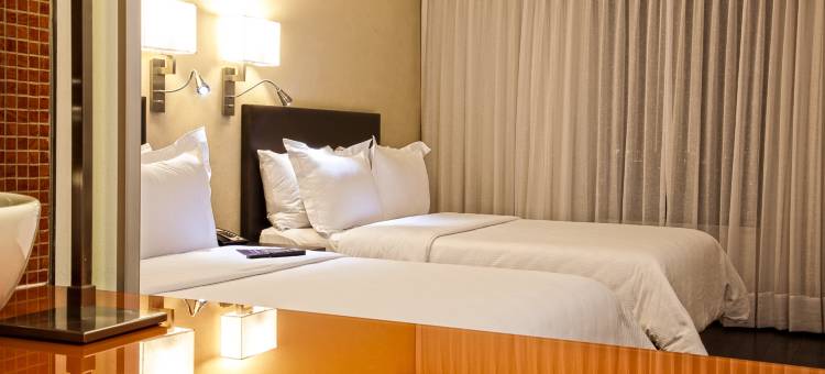 普埃布拉拉斯阿尼玛斯节日酒店(Fiesta Inn Puebla Las Animas)图片