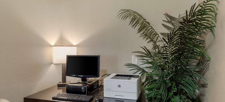 斯威特沃特贝斯特韦斯特优质套房酒店(Best Western Plus Sweetwater Inn  Suites)图片