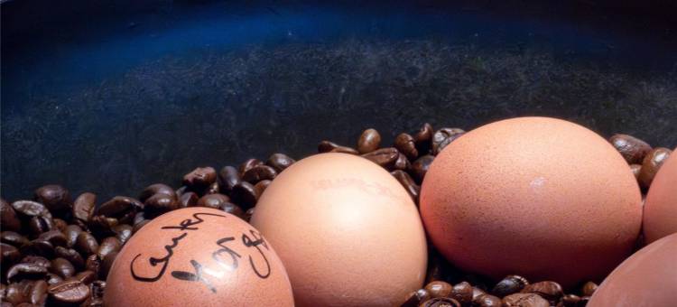 帕拉迪康格莱斯贝斯特韦斯特优质酒店(Best Western Plus Palatin Kongress Hotel)图片