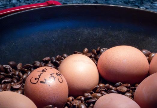 Best Western Plus Palatin Kongress HotelHotel Overview