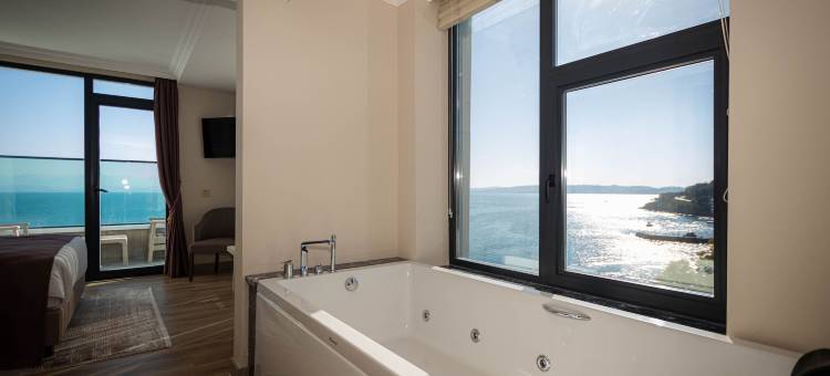 Vira酒店套房(Vira Otel Suites)图片