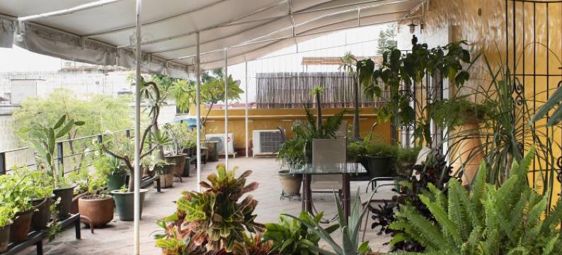 卡特里娜民宿(Hotel Boutique Casa Catrina)图片