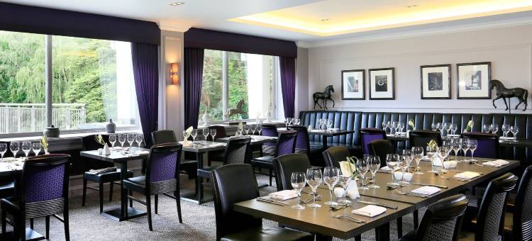 麦克唐纳德伯利兹特德水疗酒店(Macdonald Berystede Hotel and Spa)图片