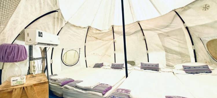 布拉沃探险露营地(Bravo Adventure Glamping)图片