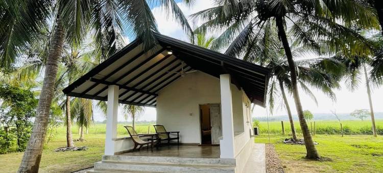 总督营地 威尔帕图(Governor's Camp Wilpattu)图片