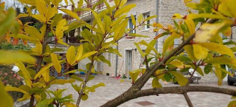 科伊德佩拉农家乐(Agriturismo Coi de Pera)图片