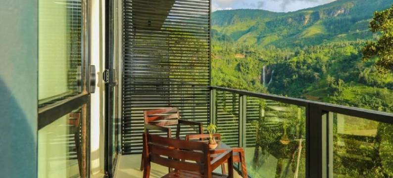 橡光茶语山居(Oak Ray Tea Bush)图片