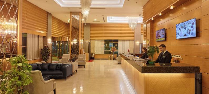 帕尔米亚加济安泰普酒店(Palmiye Hotel Gaziantep)图片