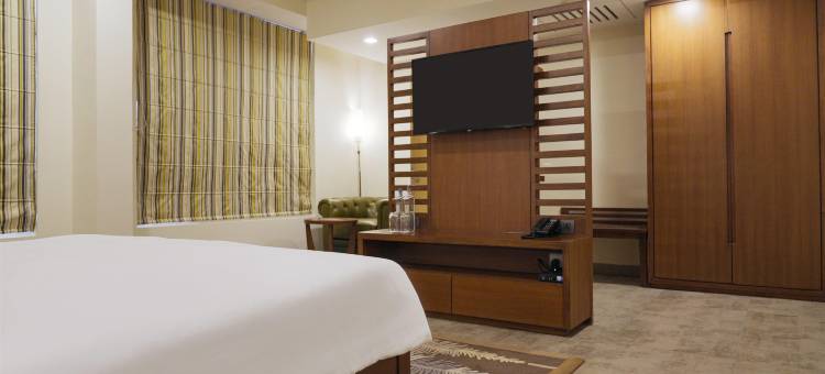 阿姆利则机场丽柏酒店(Park Inn by Radisson Amritsar Airport)图片