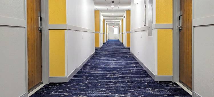 曼德林 - 弗农希尔斯舒适套房酒店(Comfort Inn & Suites Mundelein-Vernon Hills)图片