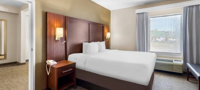 古德利茨维尔河门舒适套房酒店(Comfort Suites Goodlettsville Rivergate)图片