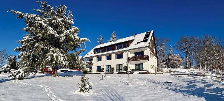 Berghotel Hohegeiß酒店(Berghotel Hohegeiß)图片
