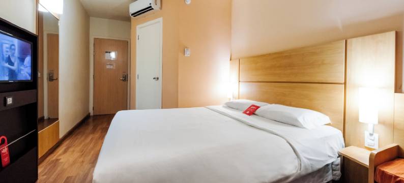 宜必思新汉堡酒店(Ibis Novo Hamburgo)图片