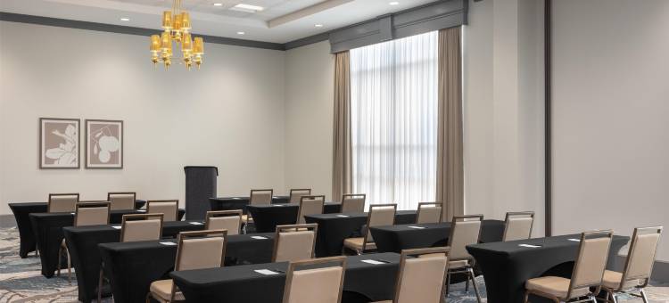 洛特爱斯丽希尔顿安泊酒店(Embassy Suites by Hilton Charlotte Ayrsley)图片
