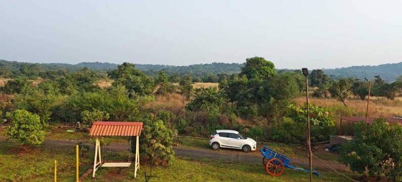 施拉瓦尼农场(Shravani Farms)图片