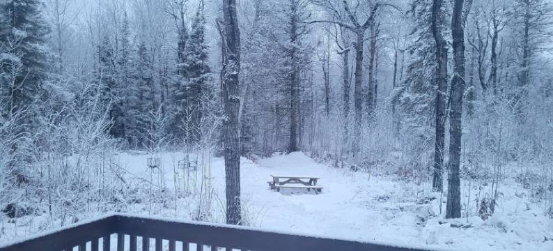 Come Glamping and Enjoy the Northwoods!图片