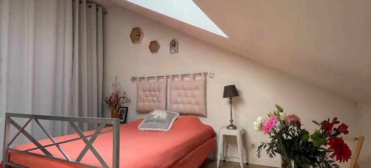 Unusual duplex with garden图片