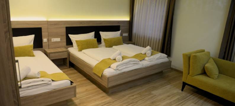 弗吕酒店(Hotel Zur Flüh)图片