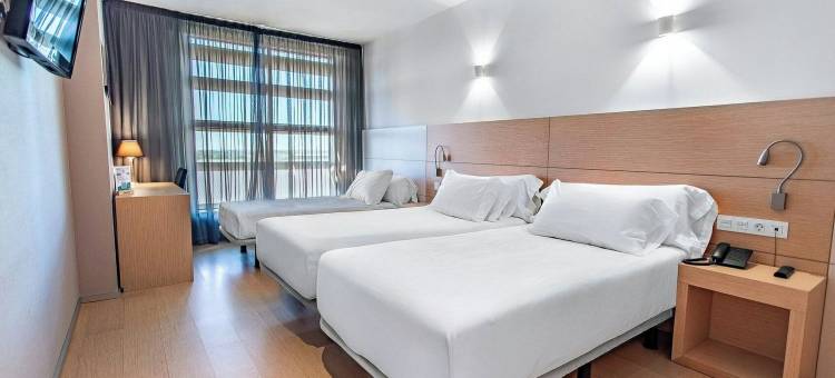 塞尔科蒂尔霍拉塔法拉酒店(Sercotel Hola Tafalla)图片