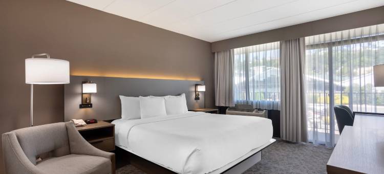 舒适酒店埃奇沃特哈德逊河畔(Comfort Inn Edgewater on Hudson River)图片