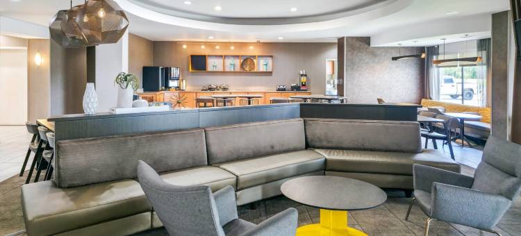 阿德莫尔万豪SpringHill Suites 酒店(SpringHill Suites Ardmore)图片