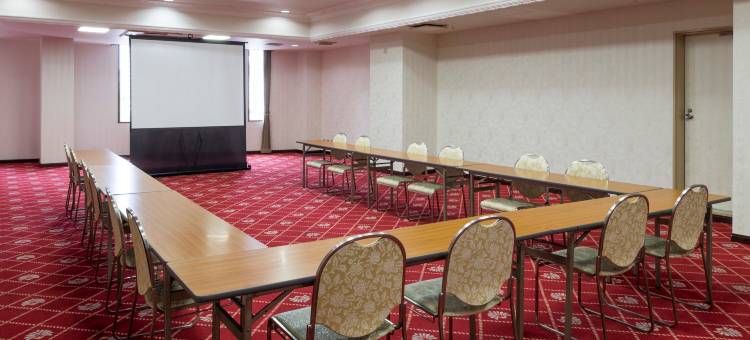 堺舒适酒店(Comfort Hotel Sakai)图片