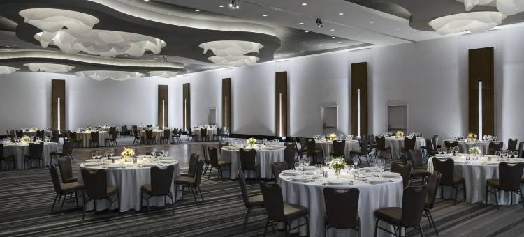 洛伊斯芝加哥奥黑尔酒店(Loews Chicago O'Hare Hotel)图片