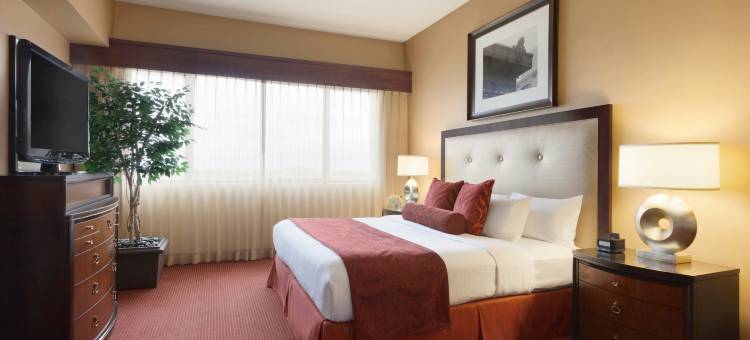 堪萨斯城国际机场希尔顿安泊酒店(Embassy Suites by Hilton Kansas City International Airport)图片
