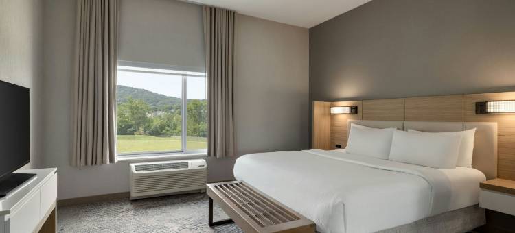 罗阿诺克万豪SpringHill酒店(SpringHill Suites Roanoke)图片